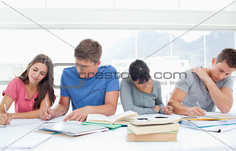 Four students sit beside each other and study 
