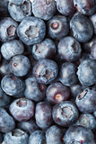 Heap of blueberries