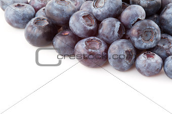 Abundance of blueberries