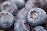 Blueberries fruit 