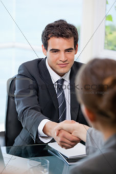 Businessman shaking hands with a Businesswoman