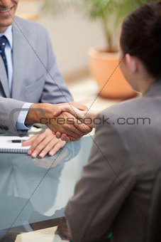 Businessman and Businesswoman shaking hands