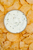 Close up of a bowl of white dip surrounded by nachos