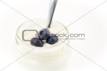 Close up of a pot of yoghurt with blueberries