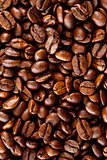 Close up of coffee seeds