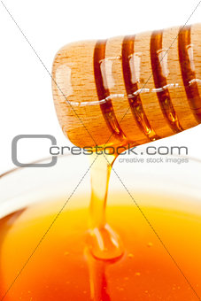 Honey sticky trickle on a dipper dropping in a honey bowl