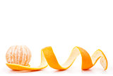 Orange posed on a orange peel
