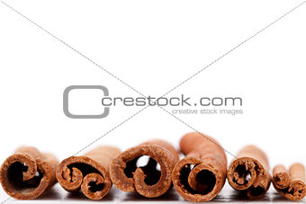 Cinnamon sticks lined up