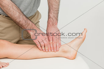 Doctor using his fingertips to massage a calf