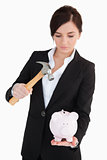 Woman in suit  going to break a piggy-bank