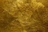 gold wall