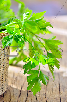 parsley in braided basket isolated