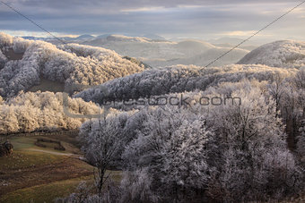 Mountain viewat "Piatra Craiului" Romania with frosty trees