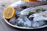 fresh raw fish trout on ice with lemon and thyme
