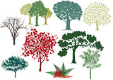 set of deciduous trees