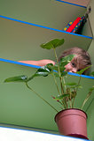 playful kid hiding behind the plant on a shelf