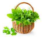 green herbs in braided basket