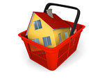 Model of house in shopping basket