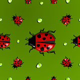 Spring water drops and ladybug pattern