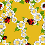 Spring flowers and ladybug pattern