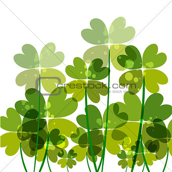 Green transparency clovers