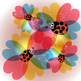Colorful transparency flowers and ladybug