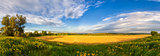 Panorama of a big summer field