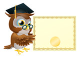 Owl diploma certificate background