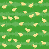 Seamless pattern with chickens on the grass