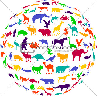 colorful wildlife