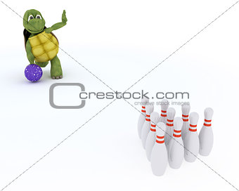 tortoise ten pin bowling