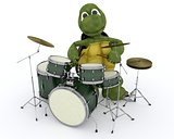 tortoise playing the drums