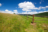 wooden fence on green summer pastoral