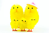 Easter chicks family
