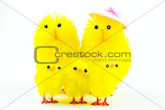 Easter chicks family