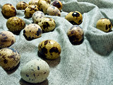 Fresh quail eggs on gray fabric.