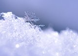 Snowflake  Macro