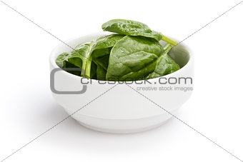 fresh spinach leaves in bowl