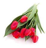 Lying red tulips bouquet