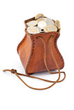 coins in money-bag