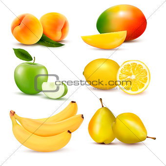 Big set of fresh fruit. Vector