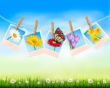 Nature background with photo with flowers and butterfly. Vector 