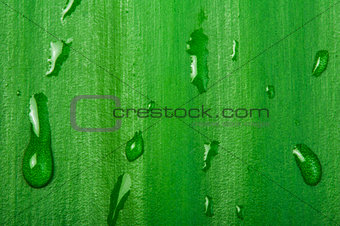 Green leaf background and drops
