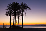 Sunrise on the Malaga beach