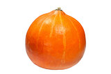Ripe orange pumpkin isolated on white