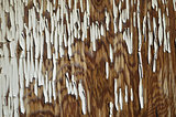 Distressed white paint on wood