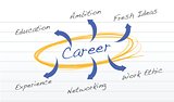 career success diagram