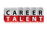 career talent cubes