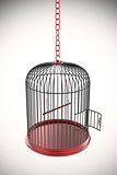 Open bird cage