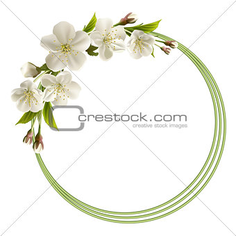 Spring header with white cherry flowers, buds and copy space.